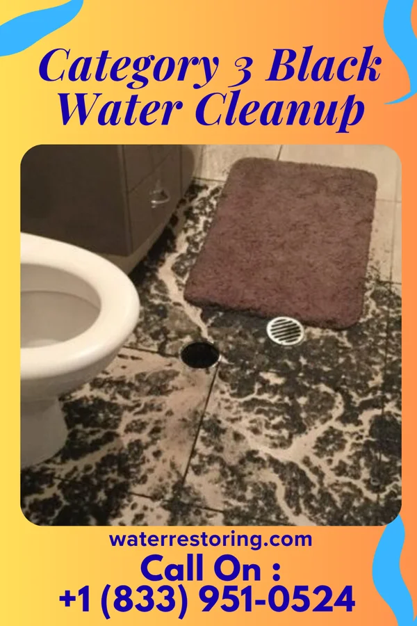 Category 3 Black Water Cleanup in Trinidad, CA